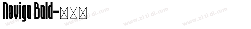 Navigo Bold字体转换